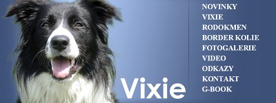 Vixie